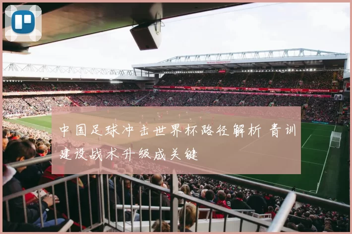 中国足球冲击世界杯路径解析 青训建设战术升级成关键