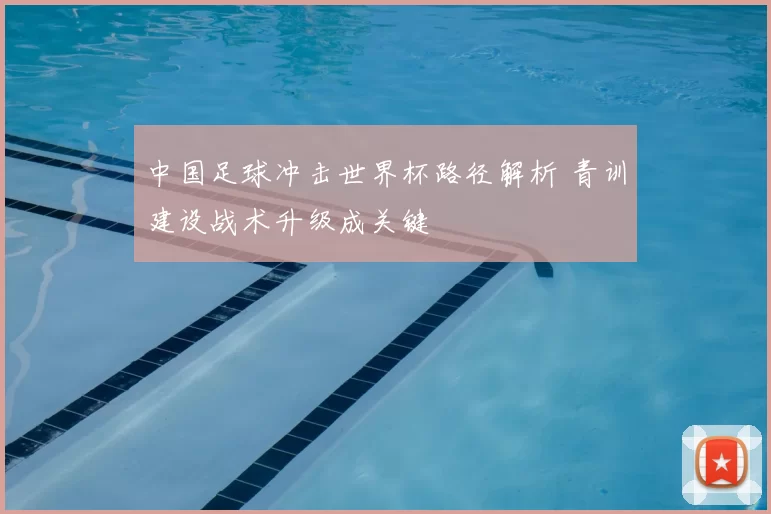 中国足球冲击世界杯路径解析 青训建设战术升级成关键