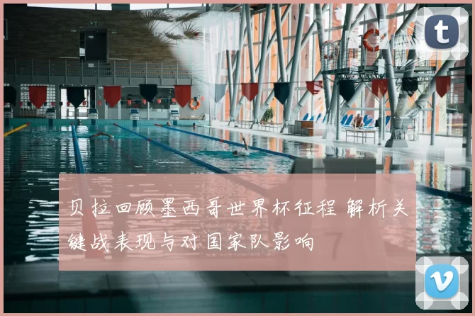 贝拉回顾墨西哥世界杯征程 解析关键战表现与对国家队影响