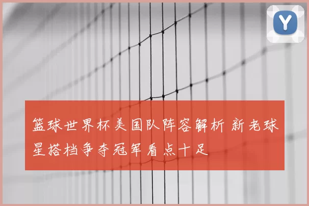 篮球世界杯美国队阵容解析 新老球星搭档争夺冠军看点十足